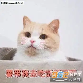 崽全家人对你很失望表情包猫猫图片生活好苦我好烦表情包下载乐游网游戏下载
