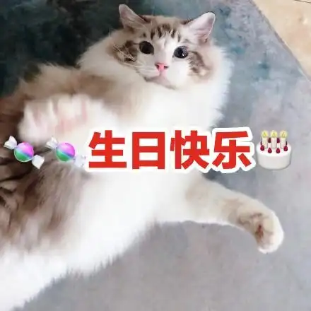 生日快乐表情包猫咪图片版13张
