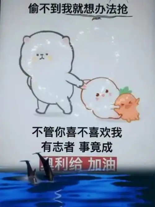 我一定要得到你得不到我就偷偷不到我就想办法抢
