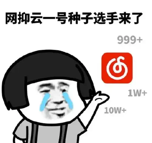 网易云回应网抑云发起云村评论治愈计划
