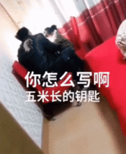 看看谁家爸爸牛,辅导作业不上头,原谅我笑出了鹅叫,额鹅鹅鹅

