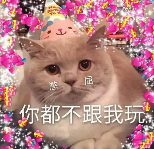 再也不怕惹猪猪男孩生气了,表情包踢过去你好意思不理我吗
