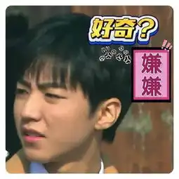 tfboys王俊凯表情包来袭新闻频道
