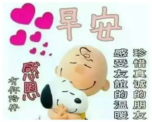 发朋友圈早安吉祥问候语表情图片,12句治愈系情感句子
