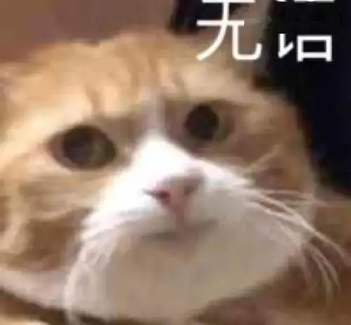 热议顶着夜店妆蹦迪的时候,却接到了hr的视频邀请...

