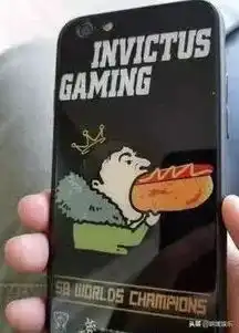 以后再用王思聪吃热狗表情包就要付费啦,人家可不是闹着玩的
