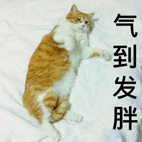 年度灾难大片来了这几天,闽北人千万别惹当妈的
