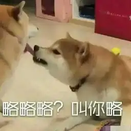 20张搞笑笑话大合集,哪一张让你忍不住笑出来的
