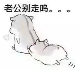 有哪些表情包可以用来撩汉
