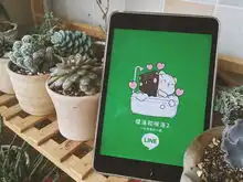 洛猫爱情篇3表情包
