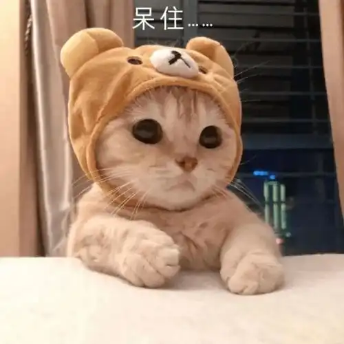 表情包biubiubiu爱心发射
