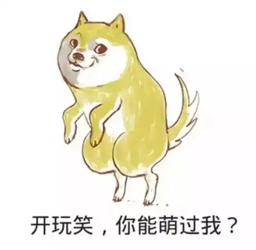 你距离笑出腹肌,只差一个奇葩的大学室友
