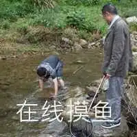 mrquin摸鱼表情包微信头像图片大全
