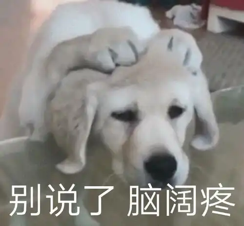 表情包分享麻烦你把手头的事情放一放,该来敷衍我了

