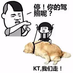 雾都恐怖片上演大雾橙色预警炸出一锅不会开雾灯的老司机
