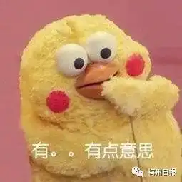 全省首个梅县玉水村获授广东厨师之乡称号

