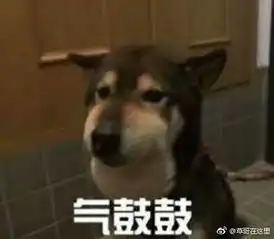 你见过最文艺的人是什么样的
