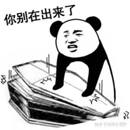 网络热词安排
