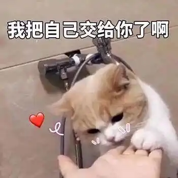 生活不易猫猫叹气可爱的猫咪表情包
