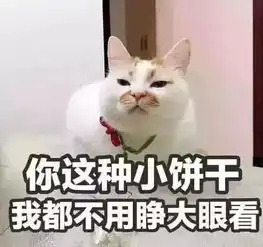 斗图互怼必胜表情包你这种小饼干,我都不用睁大眼睛看
