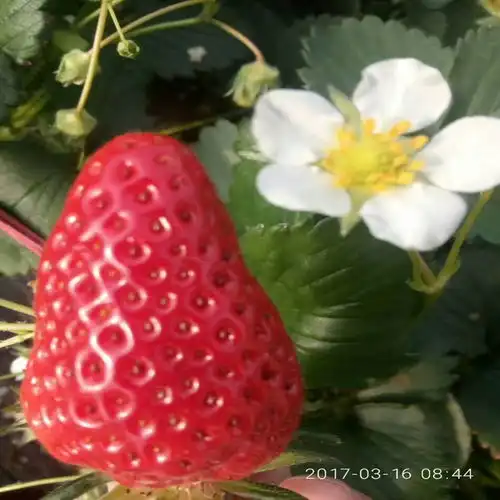 乌鲁木齐黄页88网
