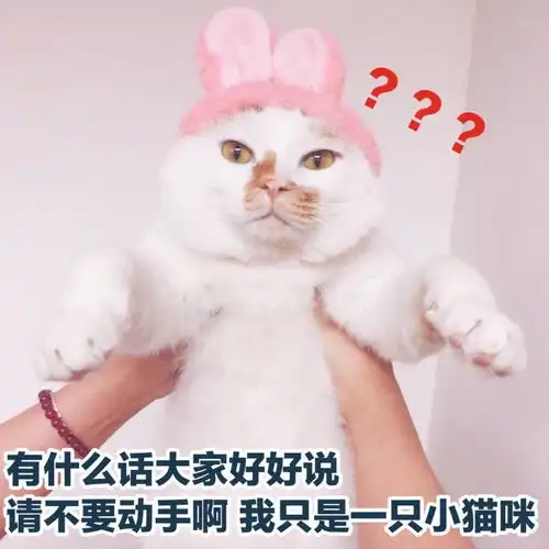来自90后老阿姨的慢蒸

