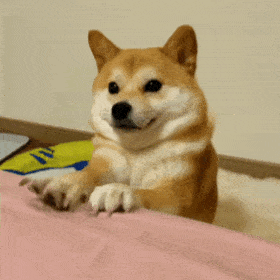 壁纸你中意的gif
