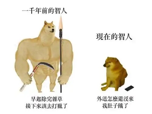 肌肉柴犬与小废柴梗图走红爆笑内容引网友疯狂流传
