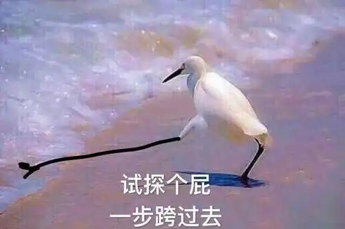 有人说钻石是营销骗局,可我觉得那是虚荣,结婚就一定要钻戒吗
