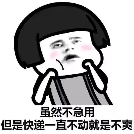 这个双十一你的真实写照
