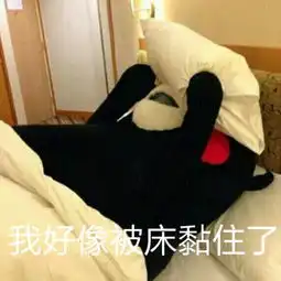 想对国民老公说我们该羡慕的别人家网红长这样
