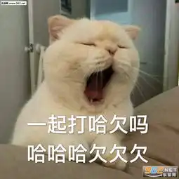 或许这就是气质女孩吧表情包你完球了表情包图片下载乐游网游戏下载