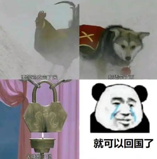 航班都去哪儿了都被熔断了民航局累计熔断航班835班转越南回国你该注意的事
