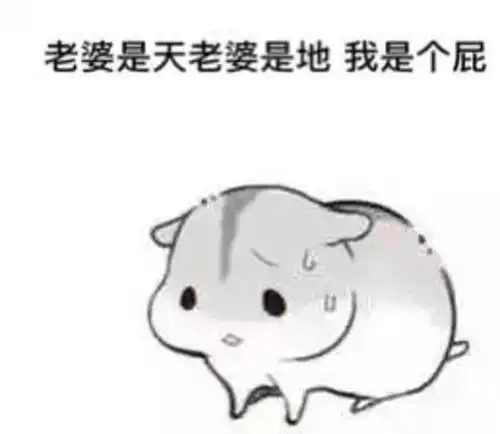 仓鼠表情包老婆说的都对
