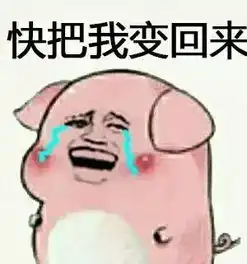 丑萌高攻岩晶蜂可爱全能土元素精灵
