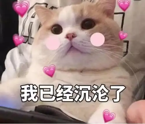 红亮亮油汪汪,端午的咸鸭蛋堪比爱马仕
