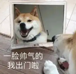 出行注意昆明这几条公交线路有调整

