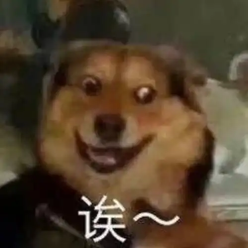 上海交通大学给你发来一份邀请函19届双画室学员濮亦凡邀请你报考交大
