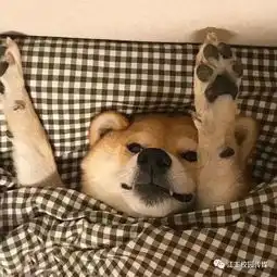 属于你的思绪
