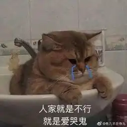 一句话比惨大赛对不起,我虾了
