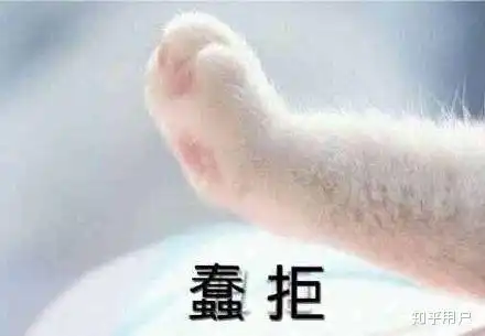 因为前男友而放弃现男友的女人是什么心态