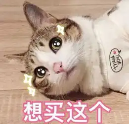 表情包系统提示,吸猫人士还有5秒到达斗图现场
