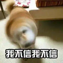 tmd,这才是让人羡慕的旅行
