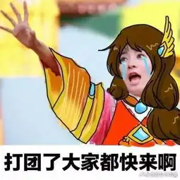 王者荣耀大桥突然的关心表情包
