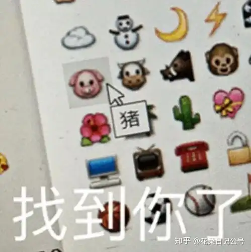 你还这样选基金大v和某付宝不会告诉你的选基技巧
