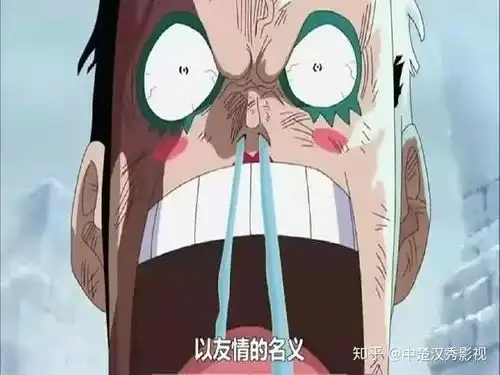 中楚汉秀航海王一朵盛开在监狱的友谊之花
