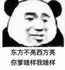熊猫头沙雕斗图表情包就这我还以为有多狠呢

