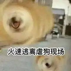成功约会的小秘籍在此
