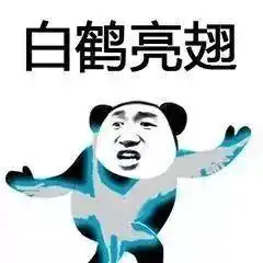熊猫头武功斗图表情包朋友过两招佛山黄飞鸿请赐教
