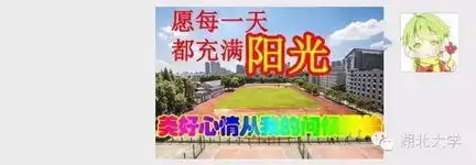 湖大人的专属表情包1.0

